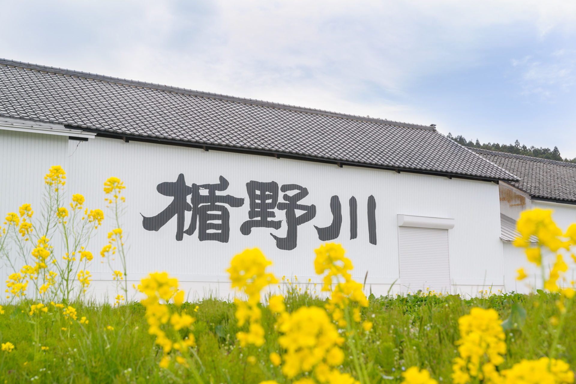 La brasserie Tatenokawa Shuzo 楯の川酒造